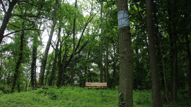 Wald der Ewigkeit in Bisamberg Mehr Info