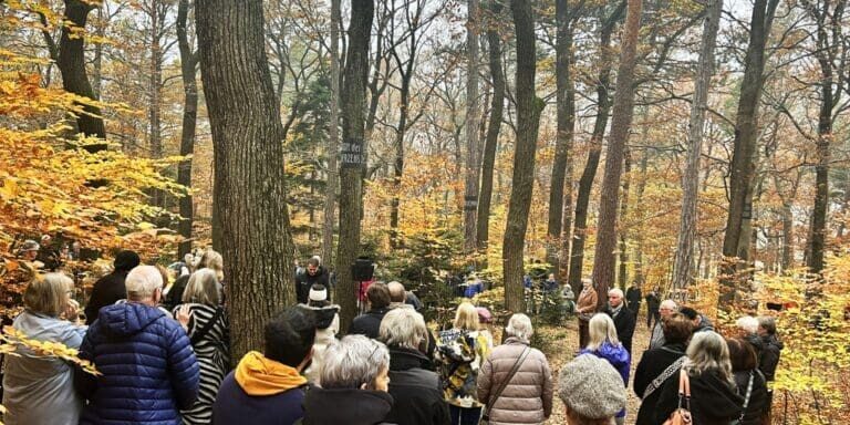 Rückblick Gedenkfeier 2025 – Wald der Ewigkeit