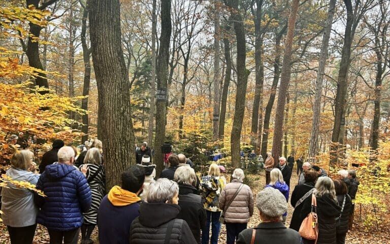 Rückblick Gedenkfeier 2025 – Wald der Ewigkeit